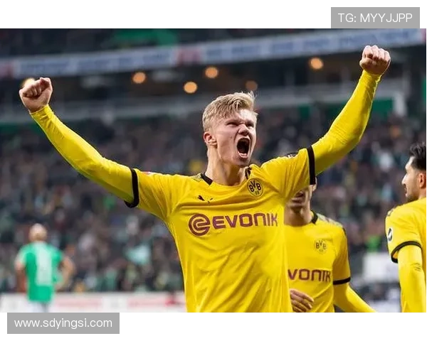 不莱梅对门兴菅原施密德诺伊豪斯埃尔维迪